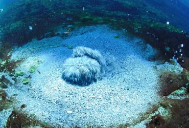 Hotel Terme di Saturnia Hotel Terme di Saturnia